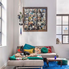 Funny Kitty Jigsaw Puzzle 1000 Pieces