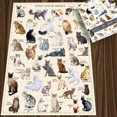 Cutest Cats Jigsaw Puzzle 1000 Pieces