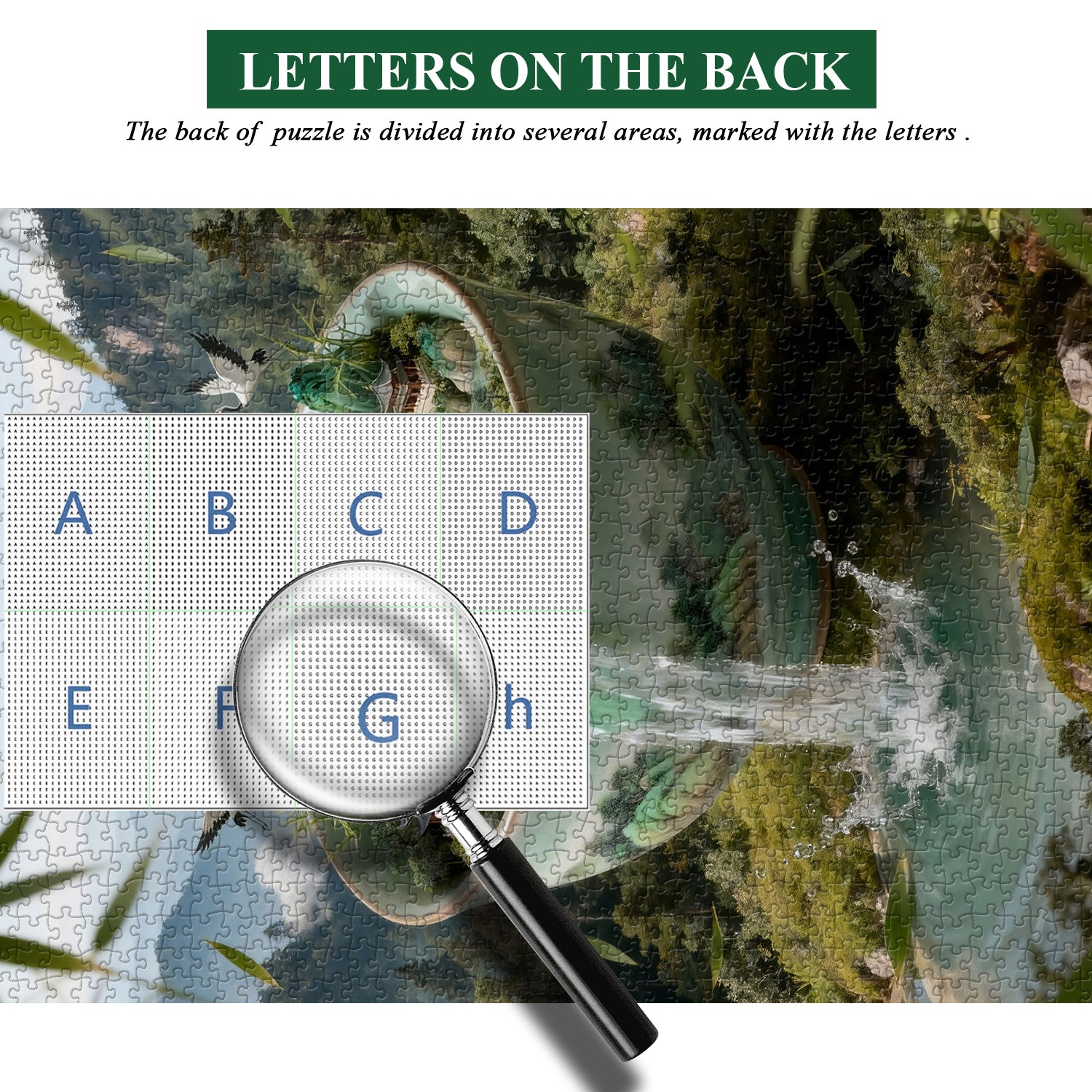 Bamboo forest landscape Jigsaw Puzzle 1000 Pieces