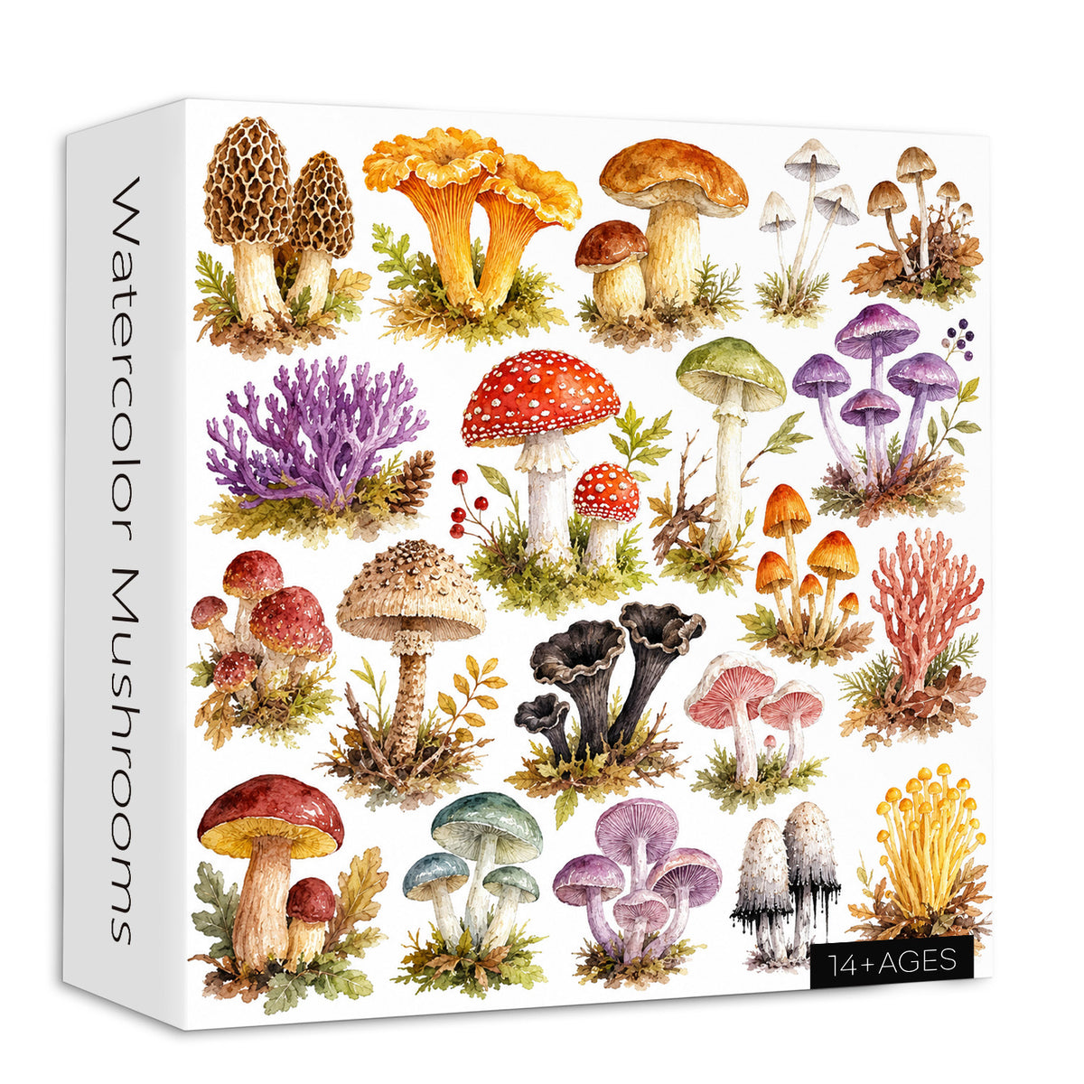 Watercolor Mushrooms Jigsaw Puzzle 1000 Pieces