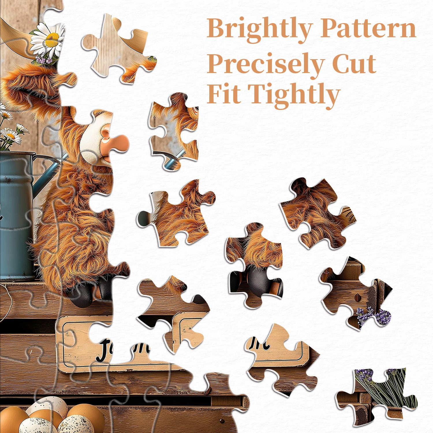 Highland Cow in Farm Jigsaw Puzzle 1000 Pieces