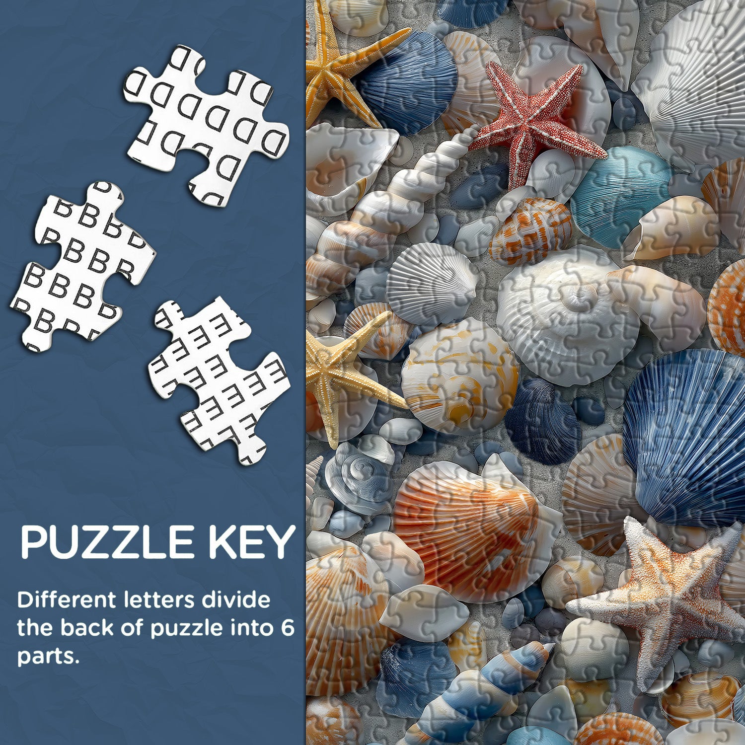 Schätze des Meeres Puzzle 1000 Teile