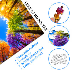 Regenbogenwald-Puzzle 1000 Teile