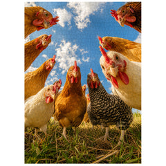 Curious Hen Crew Jigsaw Puzzle 1000 Pieces