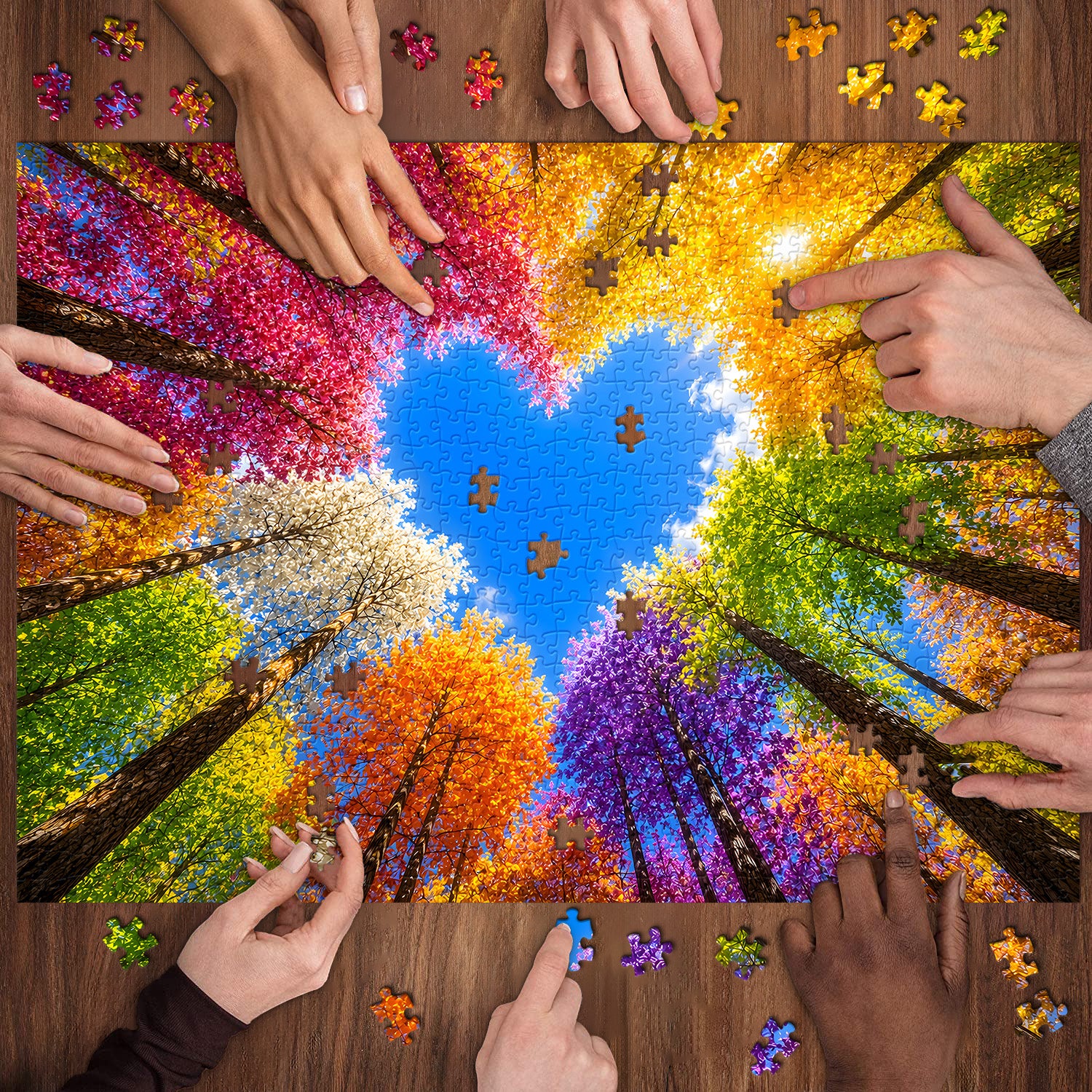 Regenbogenwald-Puzzle 1000 Teile