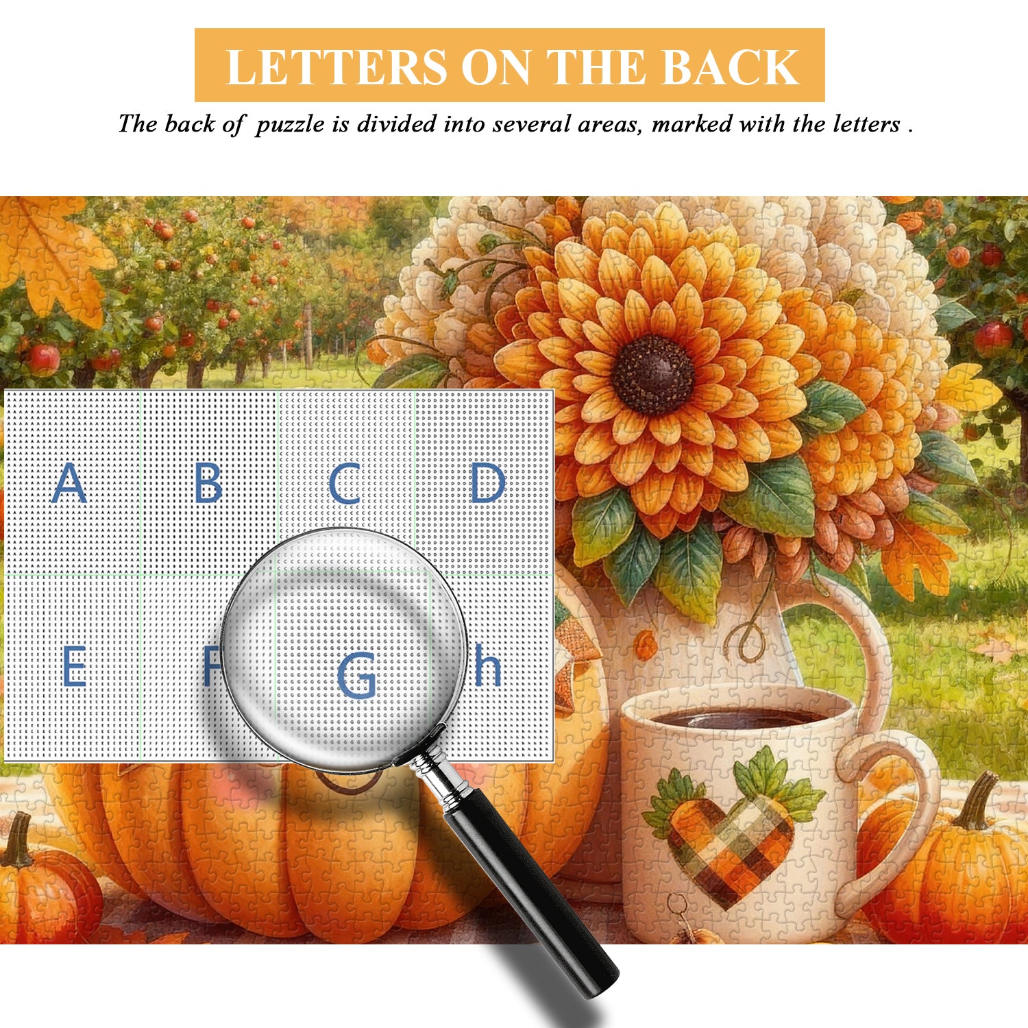 Fragrant Pumpkin Fun Jigsaw Puzzle 1000 Pieces