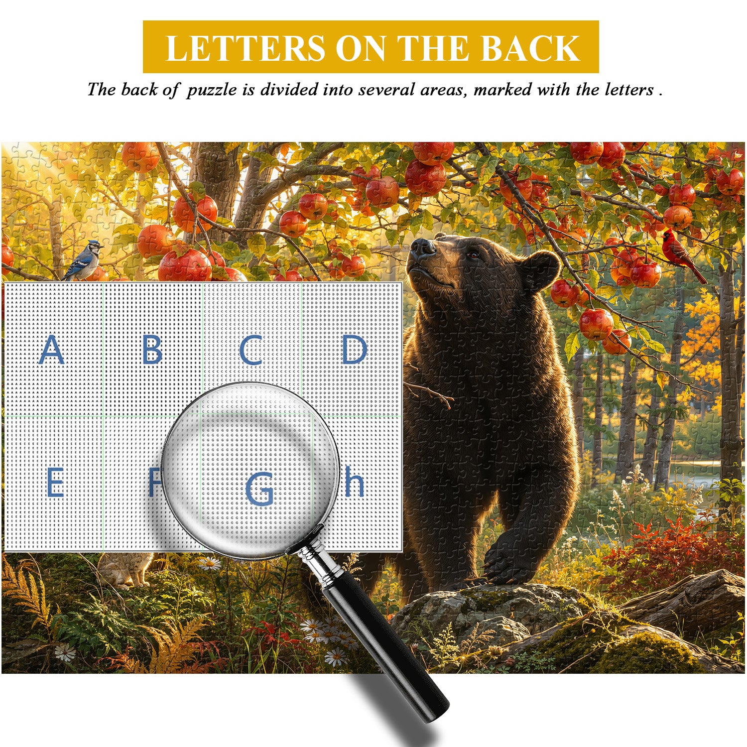 Sunlit Woodland Bear Puzzle 1000 Teile