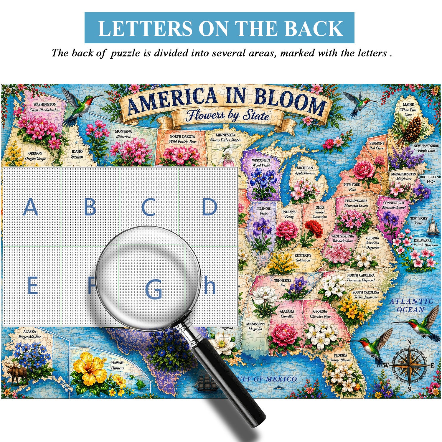 America in Bloom Jigsaw Puzzle 1000 Pieces