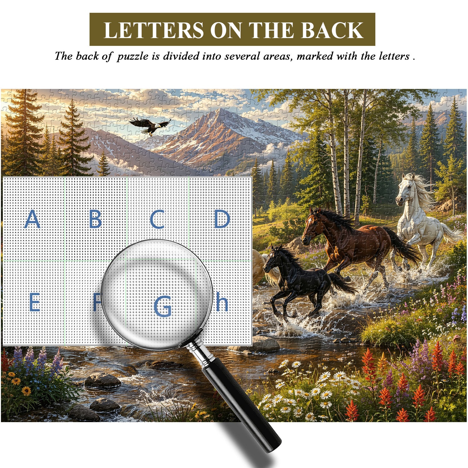 Meadow Creek Horses Jigsaw Puzzle 1000 Pieces