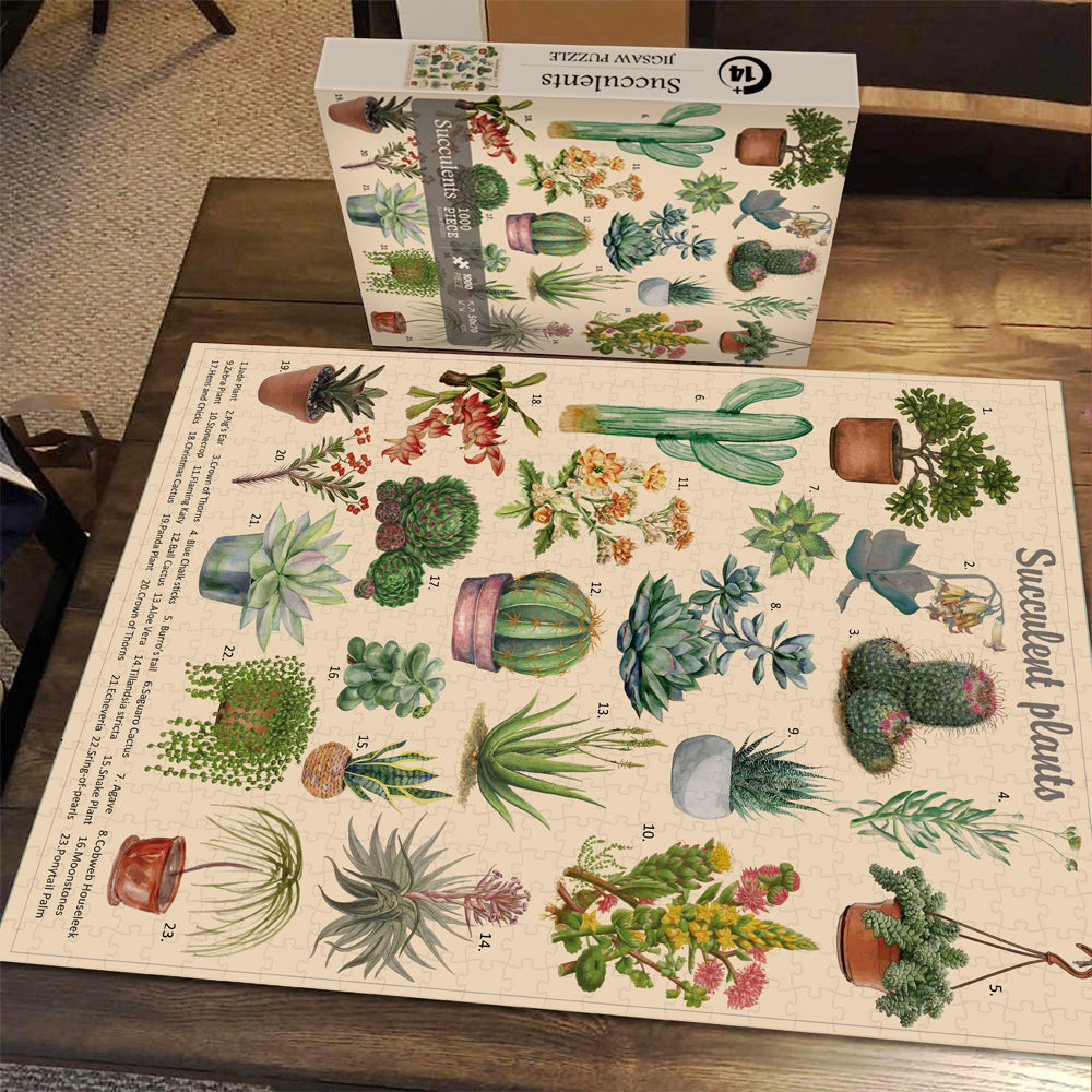 Vintage Succulent Jigsaw Puzzle 1000 Pieces