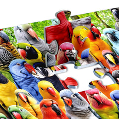 Kaleidoscope of Feathers Jigsaw Puzzle 1000 Pieces