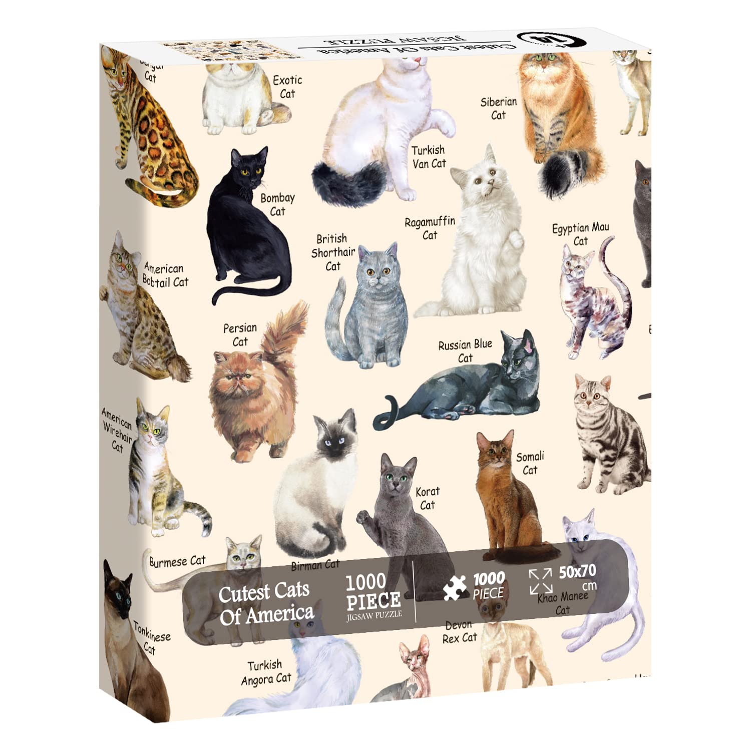 Cutest Cats Jigsaw Puzzle 1000 Pieces