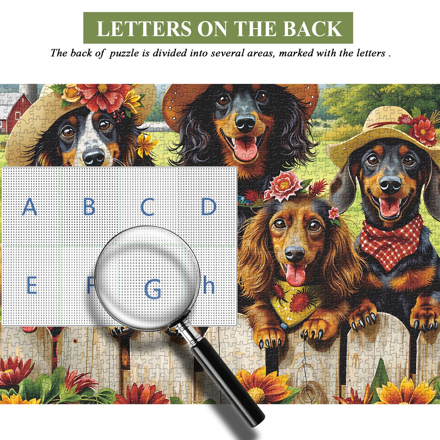 Dackelfamilie Puzzle 1000 Teile